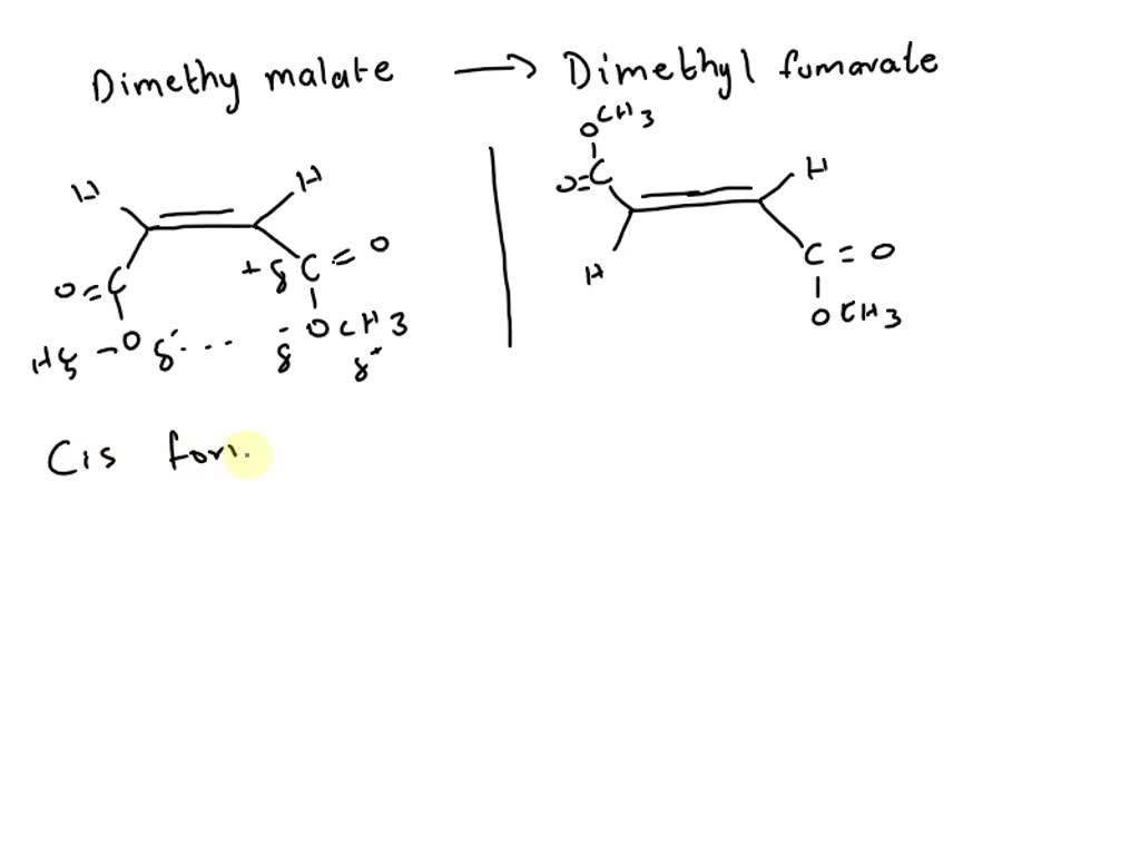 SOLVED Should a glass stopper be placed on your flask once it is