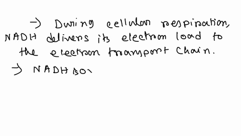 during-cellular-respiration-nadh-____-is-chemically-converted-into-atp-is-reduced-to-form-nad-is-the-final-electron-acceptor-delivers-its-electron-load-to-the-electron-transport-chain-47684