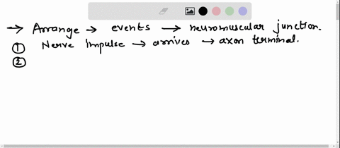 correctly-arrange-the-following-events-in-the-order-they-would-occur-at-a-neuromuscular-junction-78393