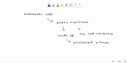 eukaryotic-cells-have-organelles-within-each-cell-that-are-bound-by-their-own-lipid-bi-layer-membrane-t-or-f-51154