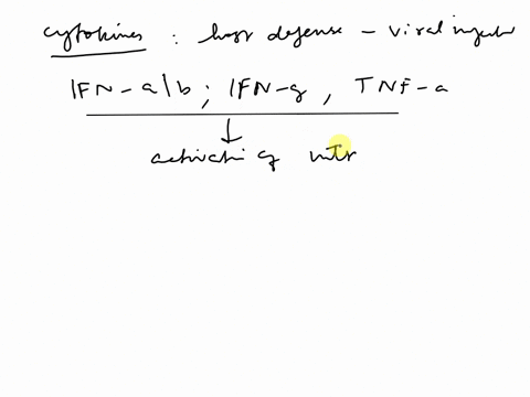 innate-immune-response-to-viral-and-bacterial-infections-are-different-one-similarity-is-that-pathogen-derived-antigens-are-presented-to-the-innate-immune-system-to-induce-adaptive-immuneres-49483