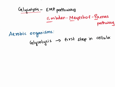 assertion-glycolysis-is-also-called-emp-pathway-reason-it-is-the-only-process-of-respiration-in-aerobic-organisms-50194