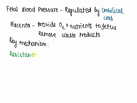 what-is-the-key-mechanism-for-regulating-fetal-blood-pressure-and-why-81076