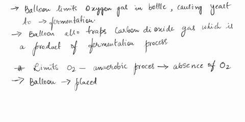 a-balloon-is-placed-over-each-bottle-at-the-start-of-the-experiment-the-balloon-limits-___-gas-in-the-bottle-causing-the-yeast-to-perform-fermentation-the-balloon-also-traps-___-gas-which-is-84979