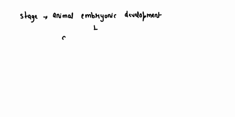 a-what-stage-of-animal-embryonic-development-is-specific-to-animals-and-distinguishes-animals-from-other-types-of-multicellular-organisms-2-points-b-what-developmental-stage-comes-before-thi-19296
