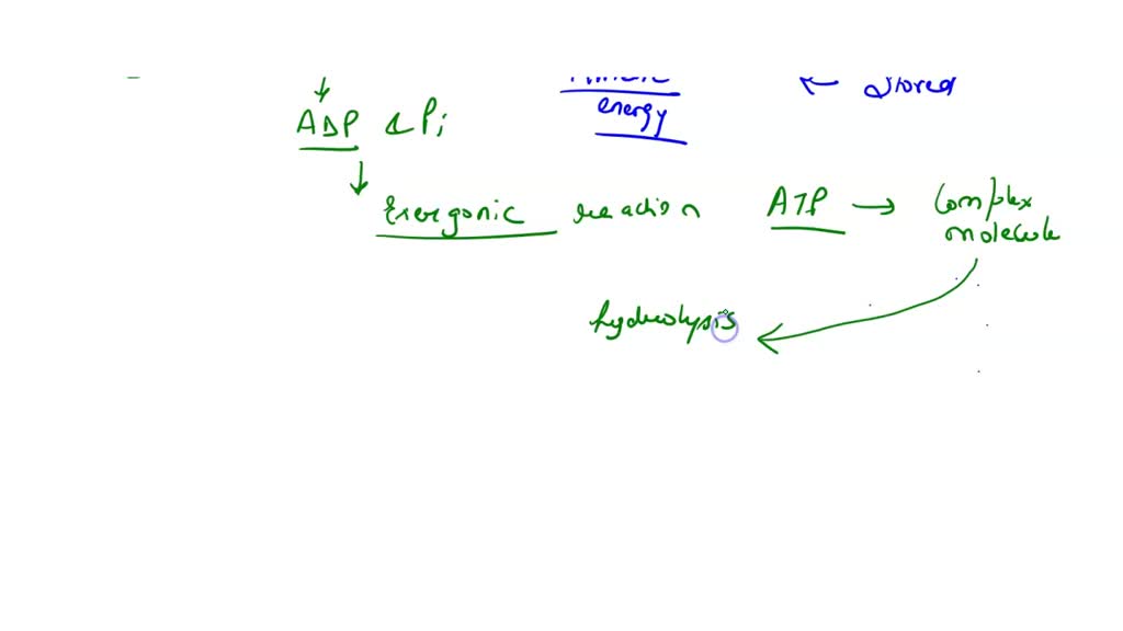 SOLVED: Catabolic Pathways The Free Energy Released By The Reactions Of ...