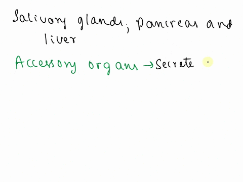 1-the-salivary-glands-pancreas-and-the-liver-are-the-organs-that-secrete-digestive-juices-16101