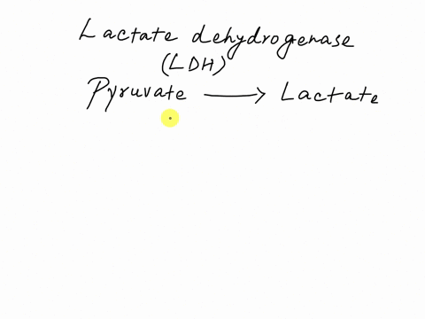 when-in-an-oxygenated-state-cells-are-able-to-generate-atp-via-oxidative-phosphorylation-while-this-method-of-atp-production-yields-much-greater-amount-of-atp-than-anaerobic-metabolism-it-re-08416