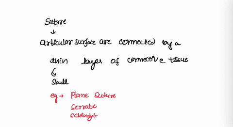 define-suture-gomphosis-and-syndesmosis-and-explain-what-these-three-joints-have-in-commonname-the-t-11148