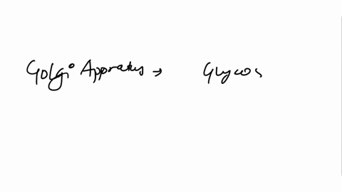 1-what-is-the-purpose-of-protein-glycosylation-2-what-is-the-function-of-the-golgi-apparatus-3-what-are-lysosomes-4-how-do-iysosomal-proteins-get-marked-for-transport-to-the-lysosome-5-what-03982