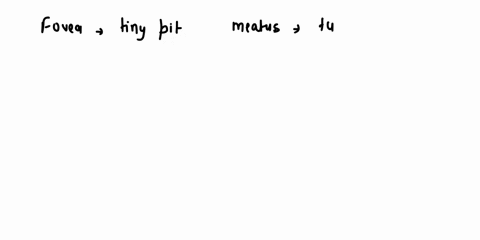 choice-in-tle-column-b-place-the-letter-of-your-2-match-the-terms-column-a-with-the-delinitions-in-column-b-column-tubelike-opening-fovea-head-tiny-pit-or-depression-meatus-small-knoblike-pr-01313
