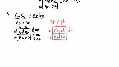 find-the-probability-chance-of-following-crosses-producing-the-given-progeny-show-your-work-for-each-question-1-aa-x-aa-aa-2-aa-x-aa-aa-3-aabb-x-aabb-aabb-4-aabbcc-x-aabbcc-aabbcc-5-aabbcc-x-aabbcc-aa