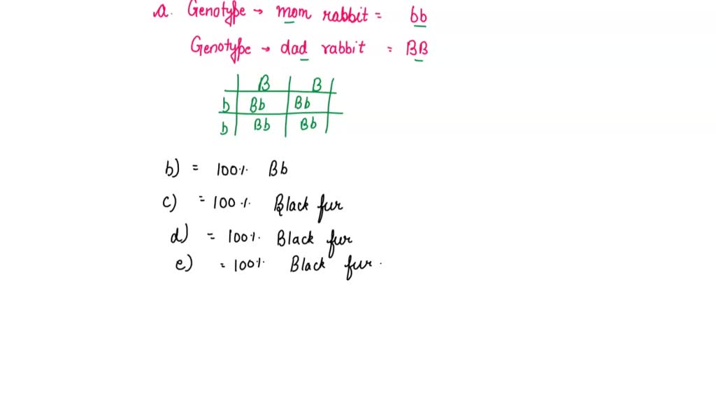 SOLVED: 'Fill In The Missing Information For Each Punnett Square Below ...