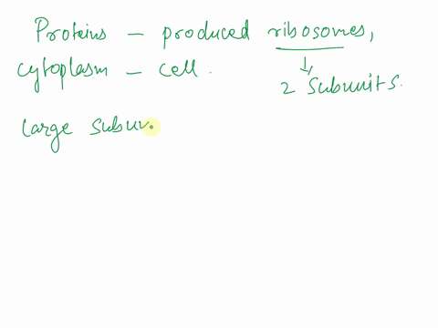 describe-briefly-where-in-the-cell-proteins-are-produced-that-end-up-in-cytoplasm-42622