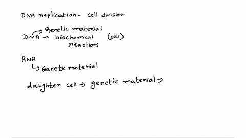 why-is-dna-replication-necessary-before-each-cell-division-30512