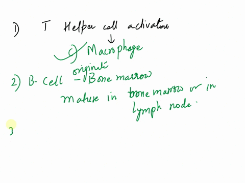 the-following-immune-cell-types-mast-cells-contrbute-t0-helper-cell-activation-monocytes-macrophages-dendritic-cells-b-cells-originate-in-the-thymus-_-and-become-matured-in-the_-bone-marrow-42646