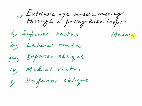 4which-extrinsic-eye-muscle-moves-through-a-pulley-like-loop-1-point-superior-rectus-lateral-rectus-superior-oblique-medial-rectus-inferior-oblique-69303