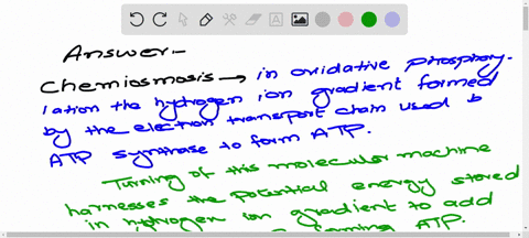 in-a-short-essay-100-150-words-explain-how-oxidative-phosphorylation-production-of-atp-using-energy-37705