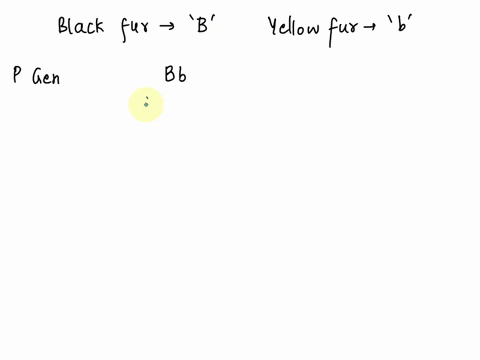 for-labrador-retrievers-black-fur-color-b-is-dominant-to-yellow-fur-color-b-if-a-heterozygous-black-male-mated-with-homozygous-vellow-female-what-would-the-pupples-look-like-determine-the-ph-78165