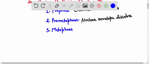 what-is-the-order-in-which-the-following-events-occur-during-cell-division-a-anaphase-b-metaphase-3-37825