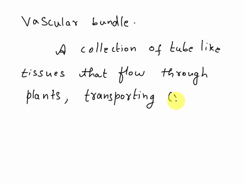 what-type-of-plant-tissue-is-not-part-of-the-vascular-bundle-a-phloem-b-xylem-c-cortex-d-cambium-70395