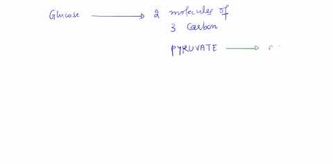 bread-lo-rise-write-out-a-balanced-chemical-reaction-then-analzee-and-app-12-the-byproducts-of-fermenting-yeast-cause-reactant-state-ihe-source-for-a-yeast-cell-for-each-the-metabolism-of-al-99535