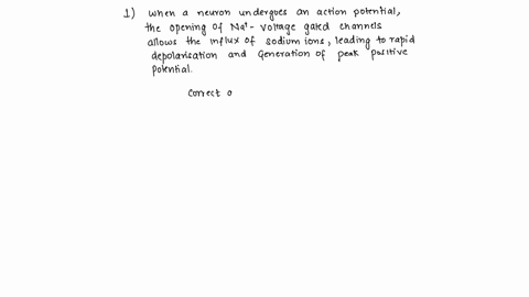 1-the-permeability-to-______-is-the-most-important-for-generating-the-peak-positive-potential-during-an-action-potential-a-sodium-ions-b-calcium-ions-c-chloride-ions-2-permeability-to-__-is-06652