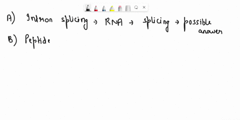 urgent-genetics-multiple-choice-question-which-of-the-following-may-be-mediated-by-ribozymal-activity-a-intron-splicing-b-formation-of-peptide-bonds-c-transcription-of-rna-d-rna-interference-70756