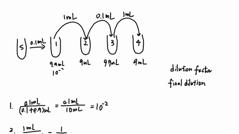 calculate-the-dilution-factorfinal-dilution-for-x-in-the-following-serial-dilution-scheme-dilution-factor-x-final-dilution-x-calculate-the-dilution-factorfinal-dilution-for-x-in-the-followin-29101