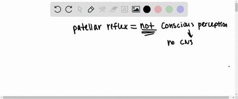 test-the-effect-of-mental-distraction-on-the-patellar-reflex-by-adding-numbers-in-your-head-while-you-test-the-reflex-again-did-the-response-change-when-you-were-mentally-distracted-why-do-y-88754