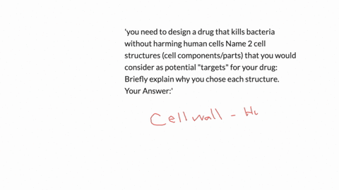 you-need-to-design-a-drug-that-kills-bacteria-without-harming-human-cells-name-2-cell-structures-cell-componentsparts-that-you-would-consider-as-potential-targets-for-your-drug-briefly-expla-53081