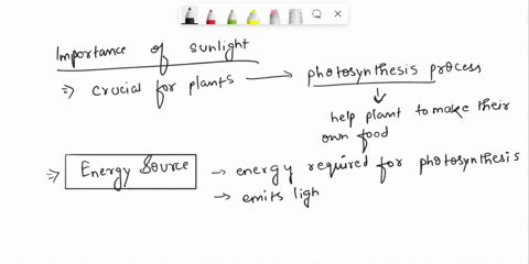 why-is-sunlight-important-for-a-plant-to-make-its-food-62456