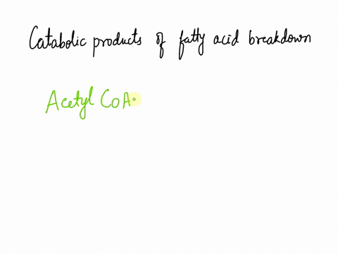 where-do-the-catabolic-products-of-fatty-acid-breakdown-enter-into-the-citric-acid-cycle-iaketoglutarate-pyruvate-succinyl-coa-acetyl-coa-93614