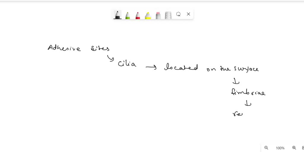 SOLVED How does the egg move through the Fallopian tube?