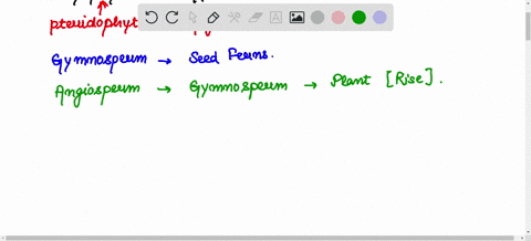 describe-the-evolutionary-history-of-the-four-major-groups-of-land-plants-bryophytes-seedless-vascular-plants-gymnosperms-and-angiosperms-describe-the-adaptations-that-arose-in-each-of-the-f-34074