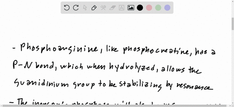 some-invertebrates-contain-phosphoarginine-is-the-standard-free-energy-of-hydrolysis-of-this-molecul-13736