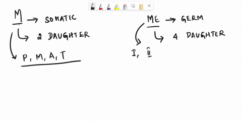 which-of-the-following-is-true-bout-mitosis-or-meiosis-sister-chromatids-are-separated-in-anaphase-il-of-meiosis-homologues-arc-separated-in-prophase-of-mitosis-sister-chromatids-are-separat-04216