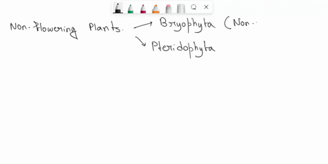 bryophyies-include-_ll-of-the-following-cxccpi-lverwona-fans-homnwons-moises-produice-pamctes-teferred-i0-a5-the-spotophyte-the-huploid-gentratian-of-plants-tnic-false-idiploid-rygote-the-ee-72704