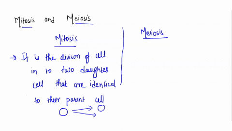 describe-the-differences-between-mitosis-and-meiosis-cell-division-54621