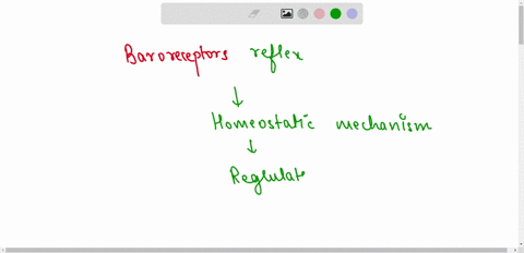 describe-in-detail-how-baroreceptor-reflex-demonstrates-the-core-concept-of-homeostasis-59628