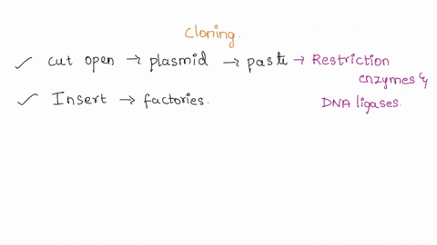 Explain the process of cloning of a fragment of dna into a...