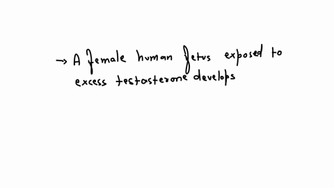 what-happens-to-a-female-human-fetus-exposed-to-excess-testosterone-during-the-sensitive-period-for-genital-development-group-of-answer-choices-she-is-unaffected-since-she-has-no-receptors-for-testost