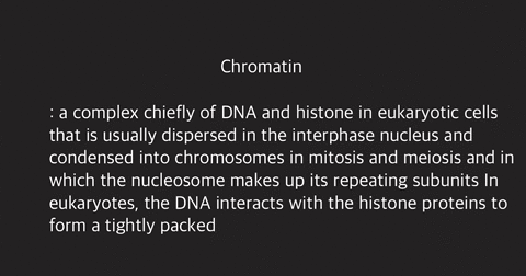 define-and-describe-each-of-the-following-terms-crossing-over-chromatin-homologue-autosomes-cytokinesis-kinetochore-interkinesis