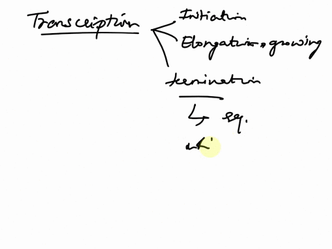 understanding-dna-transcription-and-translation-directions-complete-the-following-questions-questions-1-3-can-be-submitted-on-the-same-document-as-the-understanding-dna-replication-assignmen-87449