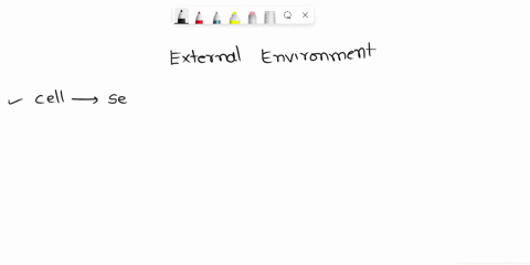 the-external-environment-constantly-activates-sensory-receptors-but-not-all-sensations-are-perceived-what-type-of-cells-are-the-most-common-type-of-sensory-ganglia-associated-with-2-points-s-69237