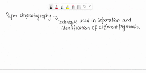 what-is-being-measured-from-the-different-pigments-in-the-chromatography-paper-experiment-the-alcohol-afnitytor-the-paper-matrix-the-pigments-repulsion-to-alcohol-the-pigments-mass-the-pigme-94513