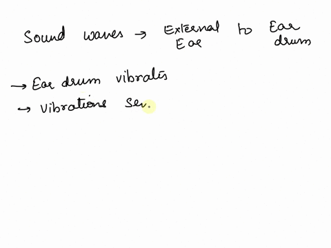 arrange-the-following-structures-in-the-order-in-which-they-vibrate-when-a-sound-wave-enters-the-ear-eardrum-1-endolymph-2-ossicles-3-oval-window-4-perilymph-5-64333