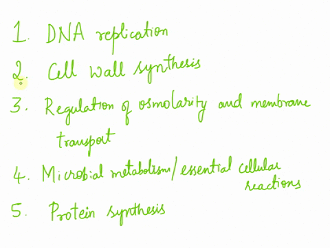 match-the-antimicrobial-description-with-the-appropriate-ccllular-targetprocess-uv-radiation-causes-thymine-dlniers-disrupting-jctivity-of-bacterial-polymerases-choose-avoparcin-disrupts-tra-00074