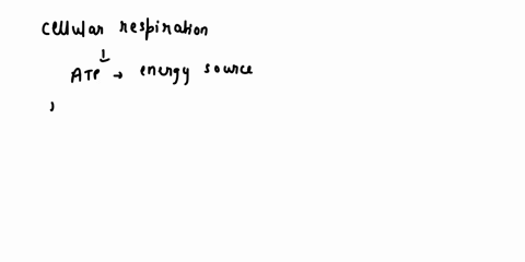 vocabulary-put-the-definitions-in-your-own-words-cellular-respiration-aerobic-i-anaerobic-mitochondria-what-is-the-primary-purpose-of-cellular-respiration-what-are-the-inputsreactants-of-cel-55067