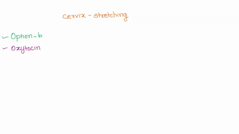 stretching-the-cervix-would-cause-an-increase-in-the-blood-cells-a-estrogen-b-oxytocin-relaxin-progresteron-0e-b-hcg-73686